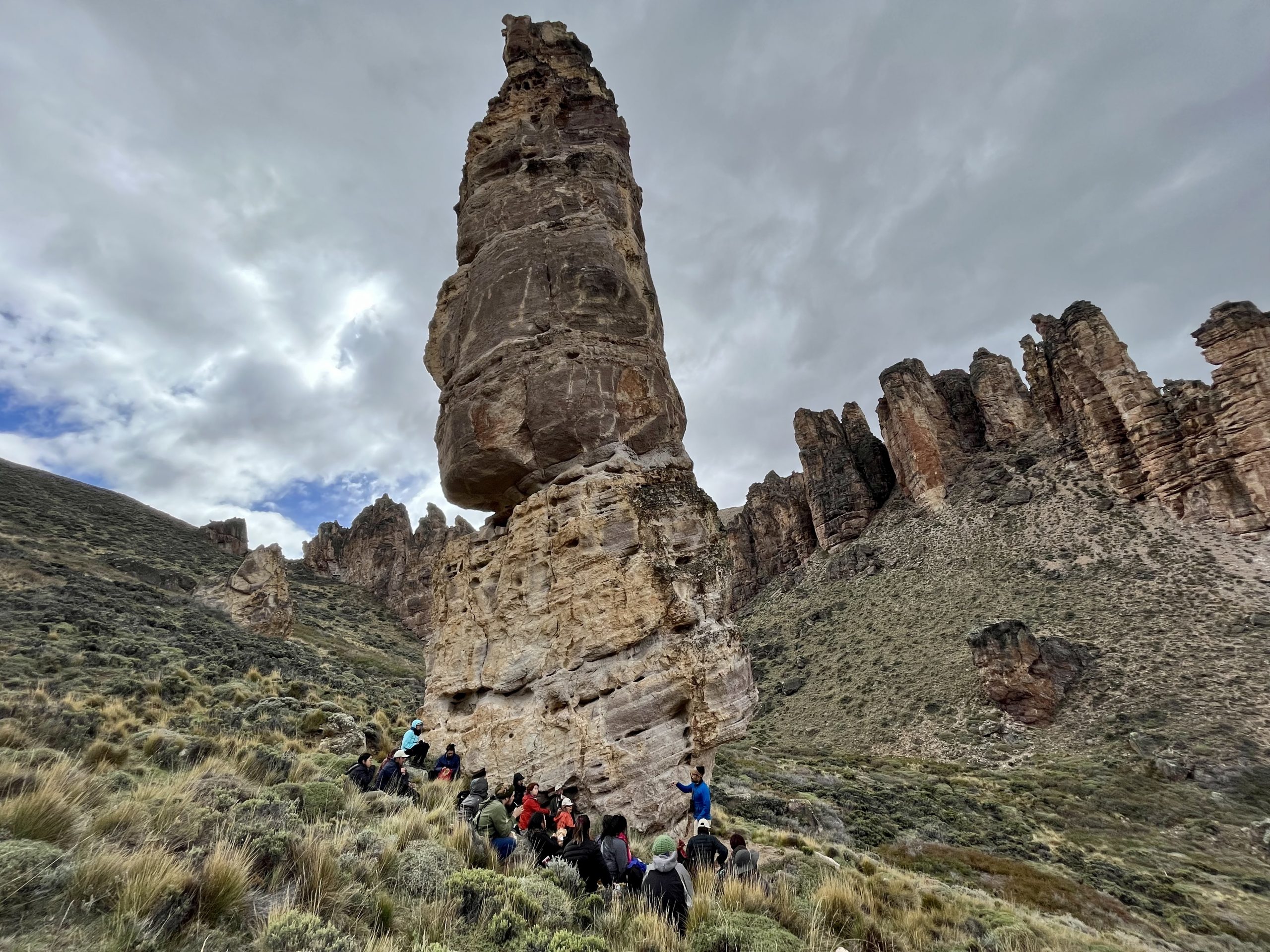 Rewilding: darle esperanza al planeta
